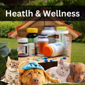 Health & Wellness