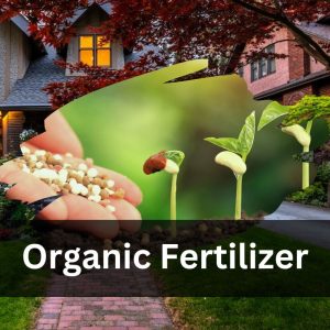 Organic Fertilizer